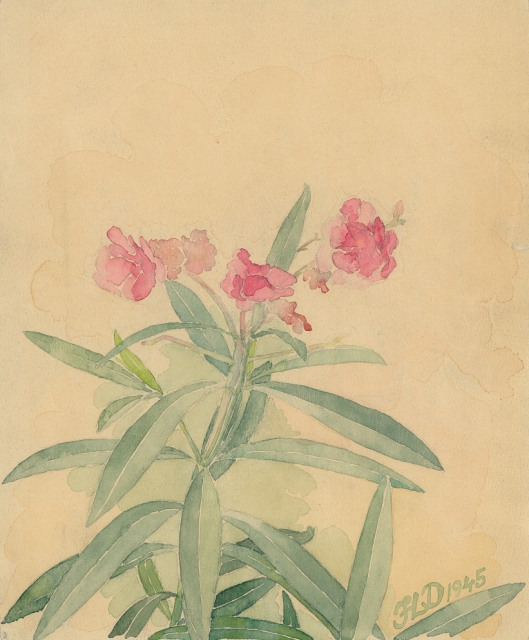 Kwiat (1945)