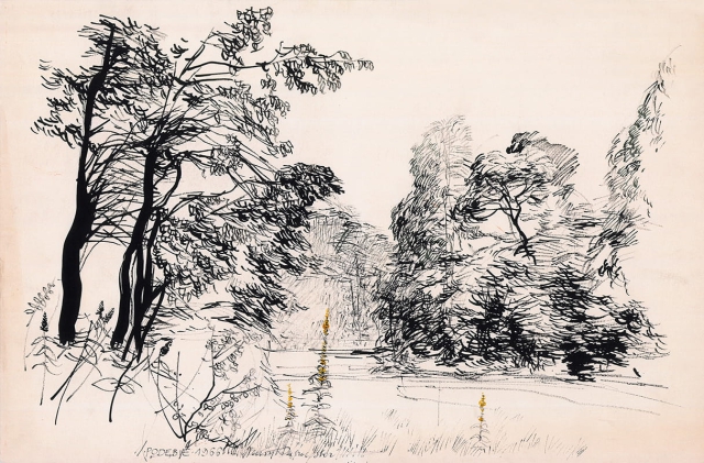 Podębie na Mazowszu, zagajnik leśny w czasie wichury, czarne konary (1966)